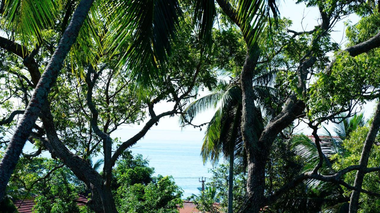 Sea Bay Inn Tangalle Exterior foto