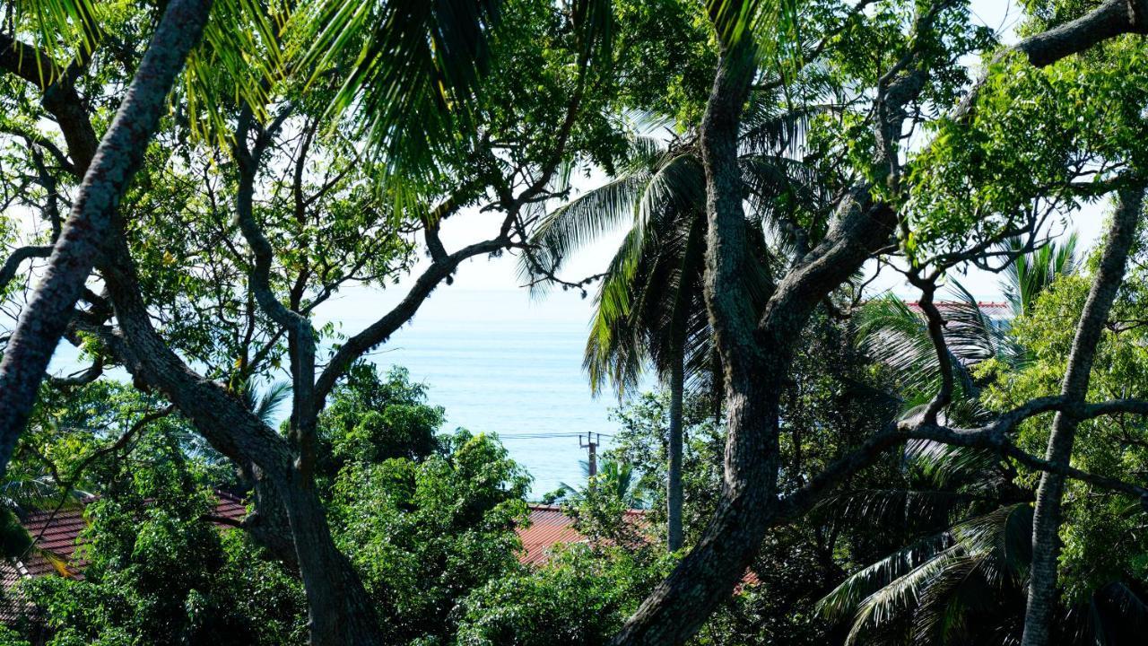 Sea Bay Inn Tangalle Exterior foto